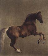 George Stubbs Whistlejacket oil